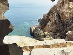 -养马岛旅游度假区