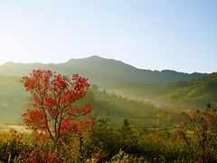 -塔川景区