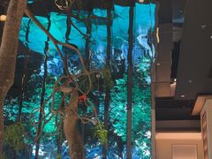 -桂满陇·海市蜃楼·黑金(国金店)