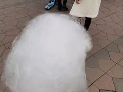 -朝阳公园游乐园