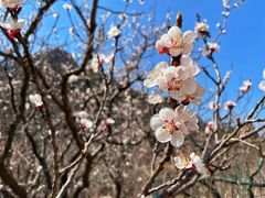 -崂山九水游览区