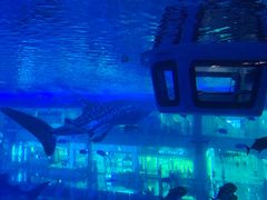 -成都浩海立方海洋公园