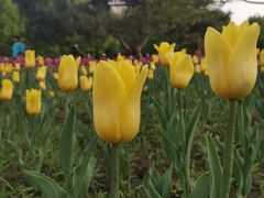 -长春公园(普阳街道)