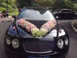 -宁波甬诚婚车(新典路店)