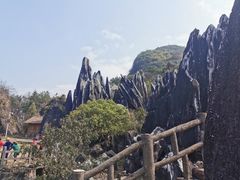 -玉石林风景区