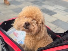 -比斯特上海购物村精品奥特莱斯