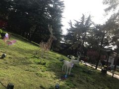-沣峪口