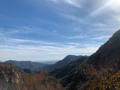 -大岭沟猕猴桃谷风景区
