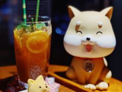 -柴犬高等学院·狗咖·柴犬售卖·宠物训练