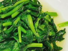 酒香豆苗-新吉士·上海菜(浦东LCM置汇旭辉店)