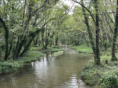 -西溪南古村落