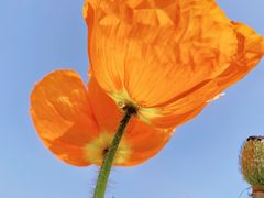 -二沙岛艺术公园