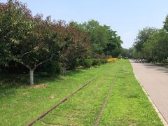 -永定河休闲森林公园