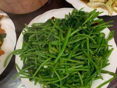 富硒蔬菜-谭家菜农夫山庄
