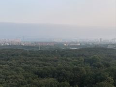 -灵谷景区