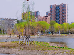 -仙女湖公园