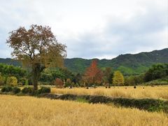 -塔川景区