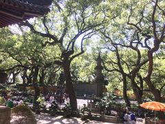 -普陀山风景名胜区-法雨禅寺