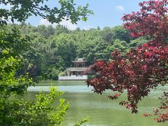 -岳麓山风景名胜区