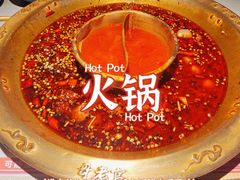 -哥老官重庆美蛙鱼头(日月光店)