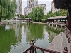-团结湖公园