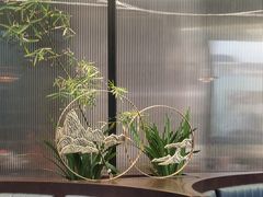 -湖畔鲁菜·二十年老字号餐厅(大明湖店)