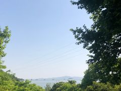 -鹅湖玫瑰文化园