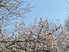 -苏州太湖国家湿地公园