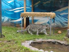 -青藏高原野生动物园
