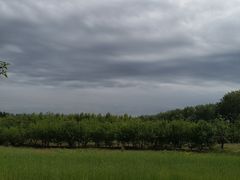 -东郊湿地公园