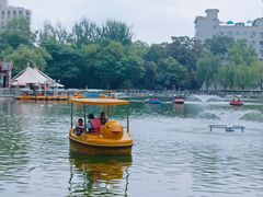 -莲湖公园