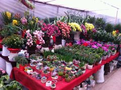 android_upload_pic-金陵花卉交易市场