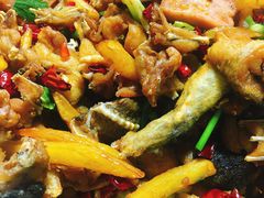 干锅牛蛙-馋嘴蛙火锅