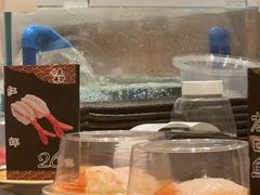 红虾-合点寿司(金虹桥商场店)