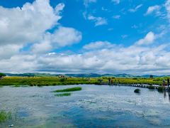 -塞罕坝国家级自然保护区