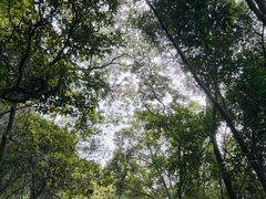 -小南山公园