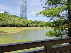 -莲花山公园