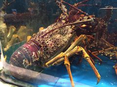 -海景壹号大酒店(惠钱路店)