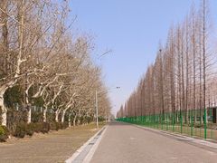 -东方绿舟宾馆·停车场