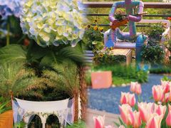 -深圳市中科院仙湖植物园