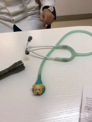点击看大图 -上海浦滨儿童医院