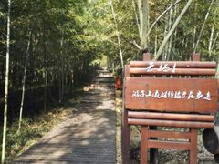 -游子山休闲旅游区