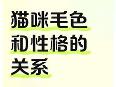 -宠乐迪宠物生活馆(德平路店)