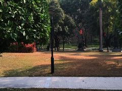 -广州雕塑公园