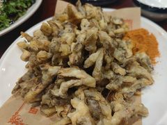 -邵年鸽(杨庄店)
