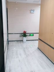 -雍禾植发