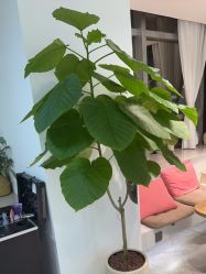 -DX HAIR SALON·发现未知美发沙龙