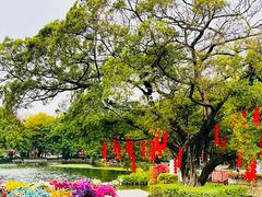-荔湾湖公园