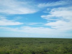 -北海金海湾红树林生态旅游区