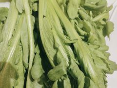 -蝎王府羊蝎子(北大地店)